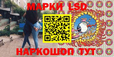 гидропоника Сланцы