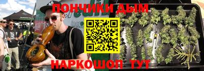 гидропоника Сланцы