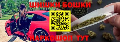 гидропоника Сланцы