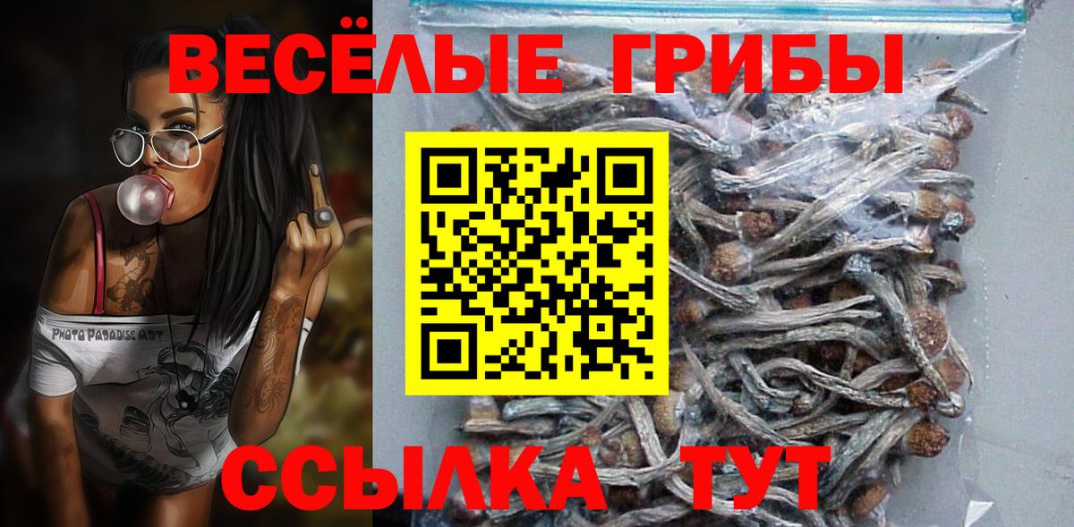 Прохладный  Псилоцибиновые грибы Psilocybine cubensis  Вход с VPN 